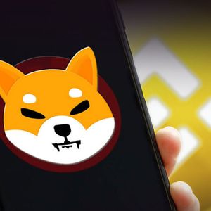 Tens of Billions of SHIB Sent to and from Binance As Shiba Inu Price Drops Overnight