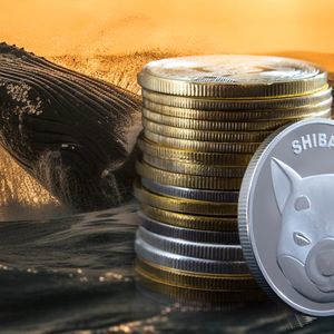 Shiba Inu (SHIB) Whales’ Inflow Skyrockets by 3700%, What’s Going On?
