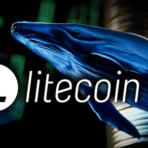 Massive Litecoin (LTC) Buyup by Whales Ongoing, Halving Sentiment at Play?