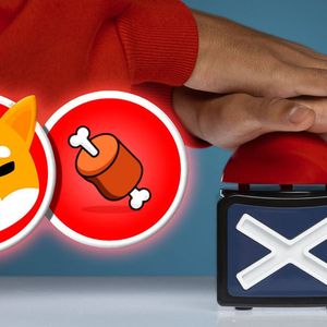 Shibarium Turns Down Exchange That Scammed Its Moderators on BONE