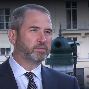 Ripple CEO Hails Team's Efforts Following Crucial Court Decision