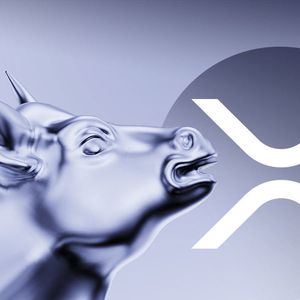 XRP Bullrun: You Are Missing True Rally