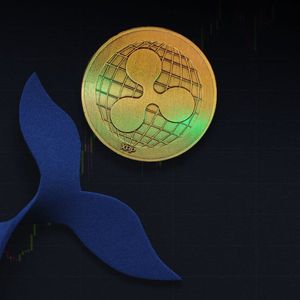 Massive XRP Whale Withdrawal Observed, Selloff Incoming?