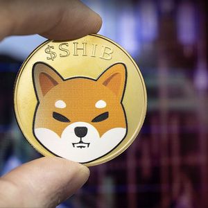 SHIB Influencer Explains Why Shiba Inu Remains in Red Despite Future Shibarium Launch