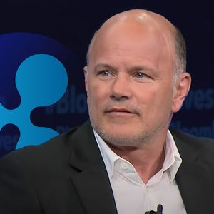 Crypto Tycoon Mike Novogratz Praises Ripple, Slams Gensler