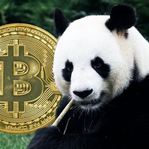 Greenpeace Riles Up Bitcoiners Yet Again