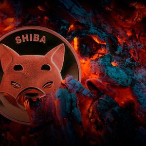 522 Million SHIB Burned In 7 Days As Shibarium Pre-Launch Campaign Continues