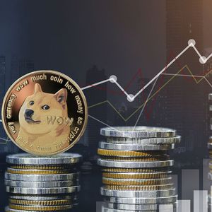 Dogecoin (DOGE) Whales Are Active, Here's How Much They Moved WTD