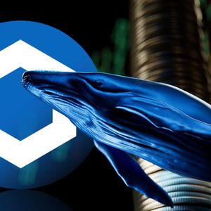 ChainLink (LINK) Whales Are On Buying Spree, Here's What Caused It