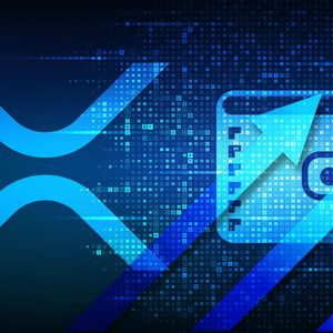 Mega XRP Whales Increase in Number at Rates Unseen for Many Months