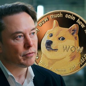 DOGE Will Be Added by Elon Musk for Twitter- “X” Payments, Raoul Pal Believes