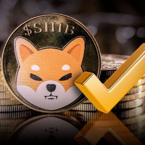 Shiba Inu Account Sports New Gold Check Mark