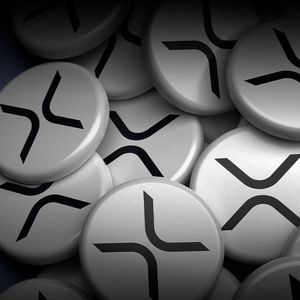Excessive XRP Reserves Unveiled by Major Exchange OKX: Here's How Much It Is