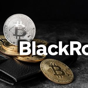 BlackRock Names Optimal Bitcoin Share in  Investor’s Risk Portfolio – You’ll Be Surprised