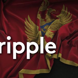 Ripple's Top Exec Drops Major Update on Joint Project with Montenegro