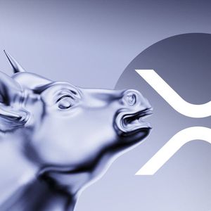 Multiple XRP Metrics Points to Next Possible Bullish Trigger