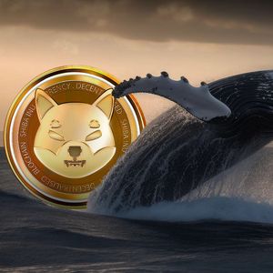 Close to 50 Billion SHIB Moved by Whales, Including Purchases, as Price Dips