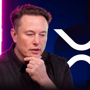 XRP Army Happy With Elon Musk’s New Tweet, Here’s Why