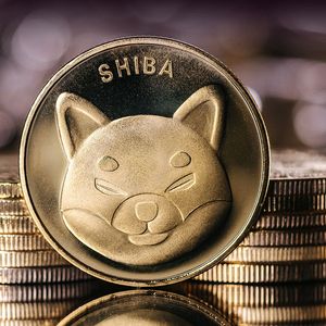 1.11 Trillion Shiba Inu (SHIB) Added by Large Players in Epic Accumulation Spree