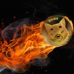 Shiba Inu (SHIB) Ignites: Double Burn Rate Sparks Price Surge