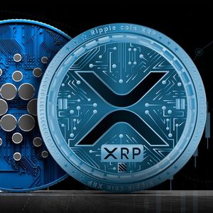 XRP and Cardano (ADA) Eye Explosive $1 Million Inflows Amid Massive Bitcoin Exodus