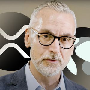 Ripple's Legal Chief Unravels XRP Verdict Drama in Terra Case