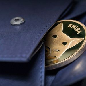 Trillions of SHIB Withdrawn to Cold Wallets in July: Details