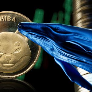 Shiba Inu's Whale Transactions Up 10%, Negates These Bearish Metrics