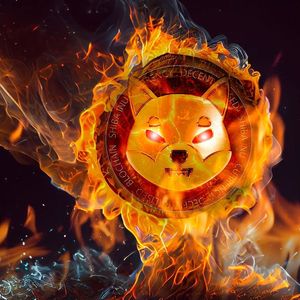 SHIB Burn Rate Doubles As SHIB Gears Up for Next Big Thing
