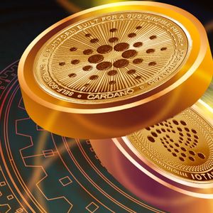 IOTA Co-Founder: Exciting Cardano Collaboration Plans in Works
