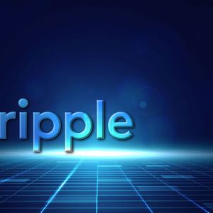 Ripple Suffers from Delayed Market Development: Flare CEO