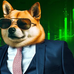 Large Shiba Inu (SHIB) Transactions Witness Jaw-Dropping 600% Surge Overnight
