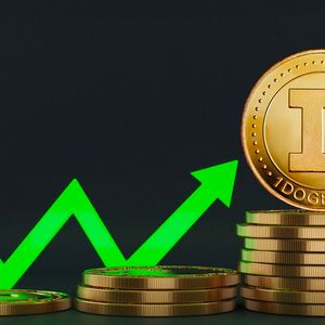 Here's One Exciting Thing About Dogecoin's Growth