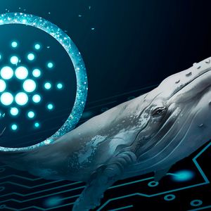 Cardano (ADA) Whales Now Hold Highest Levels of ADA: Pump Incoming?