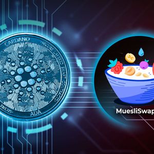 Cardano DEX MuesliSwap Addresses Slippage Concerns, Announces Refunds