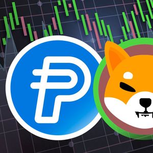 SHI Stablecoin Will Be Game-Changer, While PayPal Stablecoin PYUSD Is Not: SHIB Team Member
