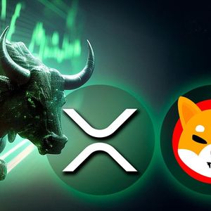 SHIB, XRP Are Top Trending Cryptos Now in Light of Bullish News