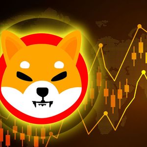 Shiba Inu (SHIB) Lights Up: Sparks New Price Rally
