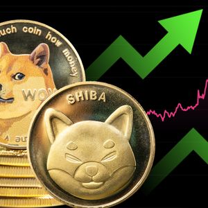 Shiba Inu (SHIB) and Dogecoin (DOGE) Lead Memecoin Surge, Decoupling from Bitcoin