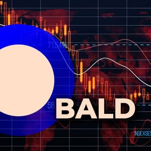 BALD Token Tanks 33%, Has it Finally Met its Waterloo?