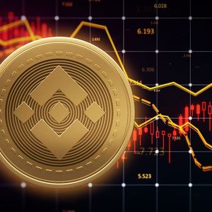 Binance Coin (BNB) Price Could See 30% Crash, If It Doesn't Do This
