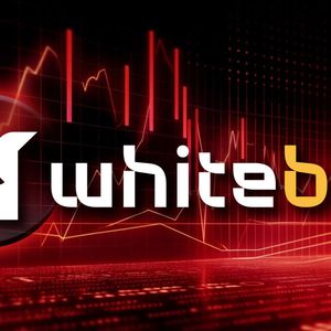 Will WhiteBit Explore Bankruptcy? Signs Points to this Possibility