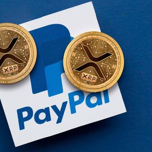 XRP Army Discusses PayPal Listing Perspectives: Details