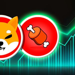 Epic Shibarium Launch Triggers Jaw-Dropping 200% On-Chain Surge For Shiba Inu's BONE