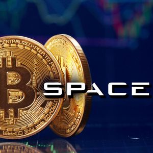 Did Bitcoin Price Crash to $25K Because of Fake SpaceX News?