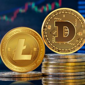 Litecoin and Dogecoin Stand Out with Increased Activity