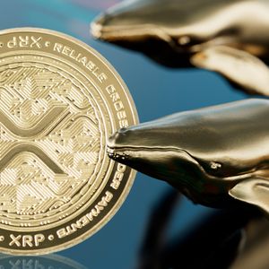 XRP Whales Accumulating Billions of Tokens as XRP Price Surges Green