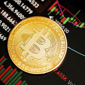 Bitcoin Price: Oversold Indicators Offer Hope