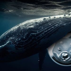 4.6 Trillion SHIB Moved to Mysterious New Wallet by Anon Whale ‘Born’ Yesterday