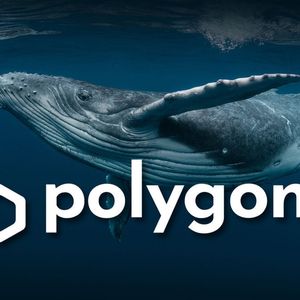 Polygon (MATIC) Whale Transactions Up 49% as Recovery is Underway